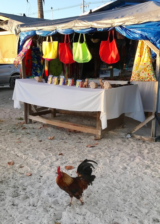 A rooster among the stalls